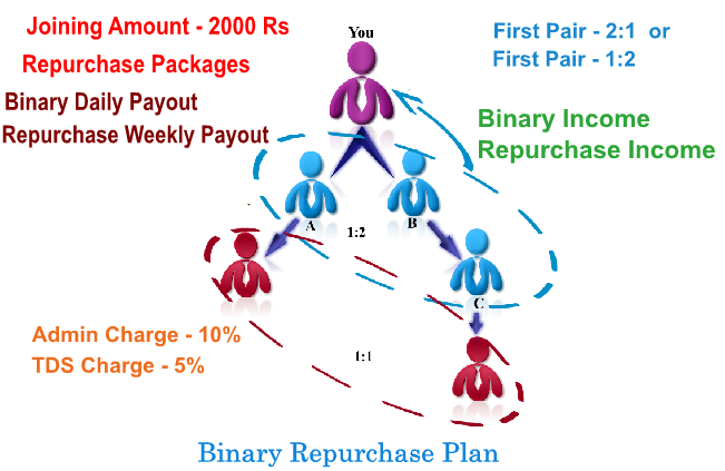 Binary With Repurchase Income mlm software demo pune
