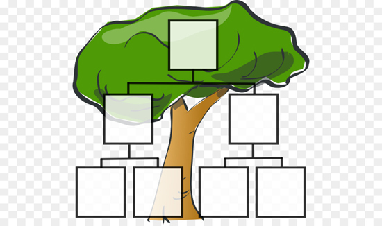 Genealogy / Tree View
